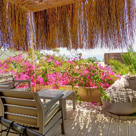 Hotel Oza Boutique *