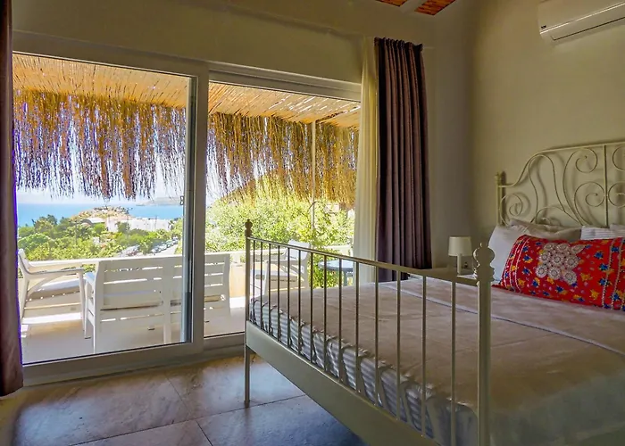 Hotel Oza Boutique